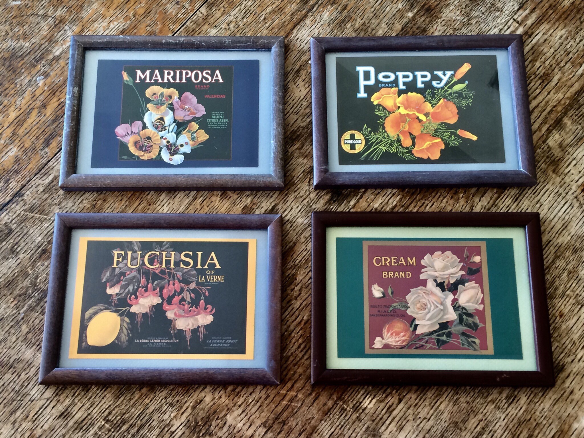 Los Angeles Poinsettia Christmas Lemon Crate Label Art Print