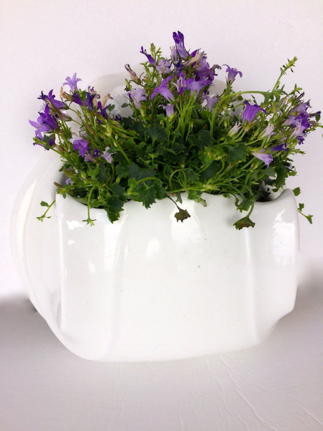 Elegant Wall Planter Hanging Wall Vase Planter White Ceramic Etsy