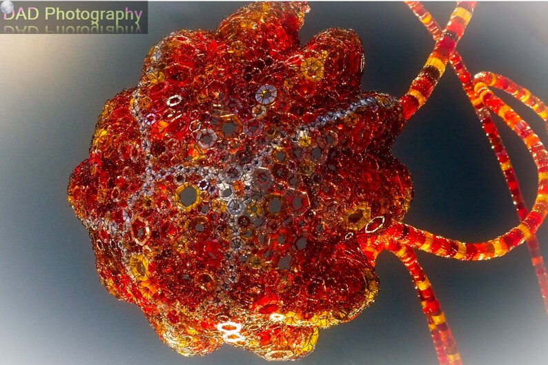 Crystal Jelly Digital Download Etsy