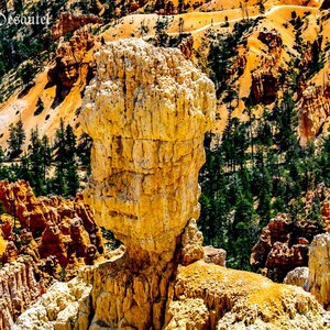 Bryce Canyon Robot Man