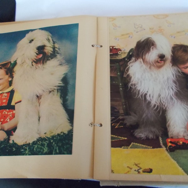 Vintage 1930s 75 Large  Magazine Pictures Of Children In Large Scrapbook