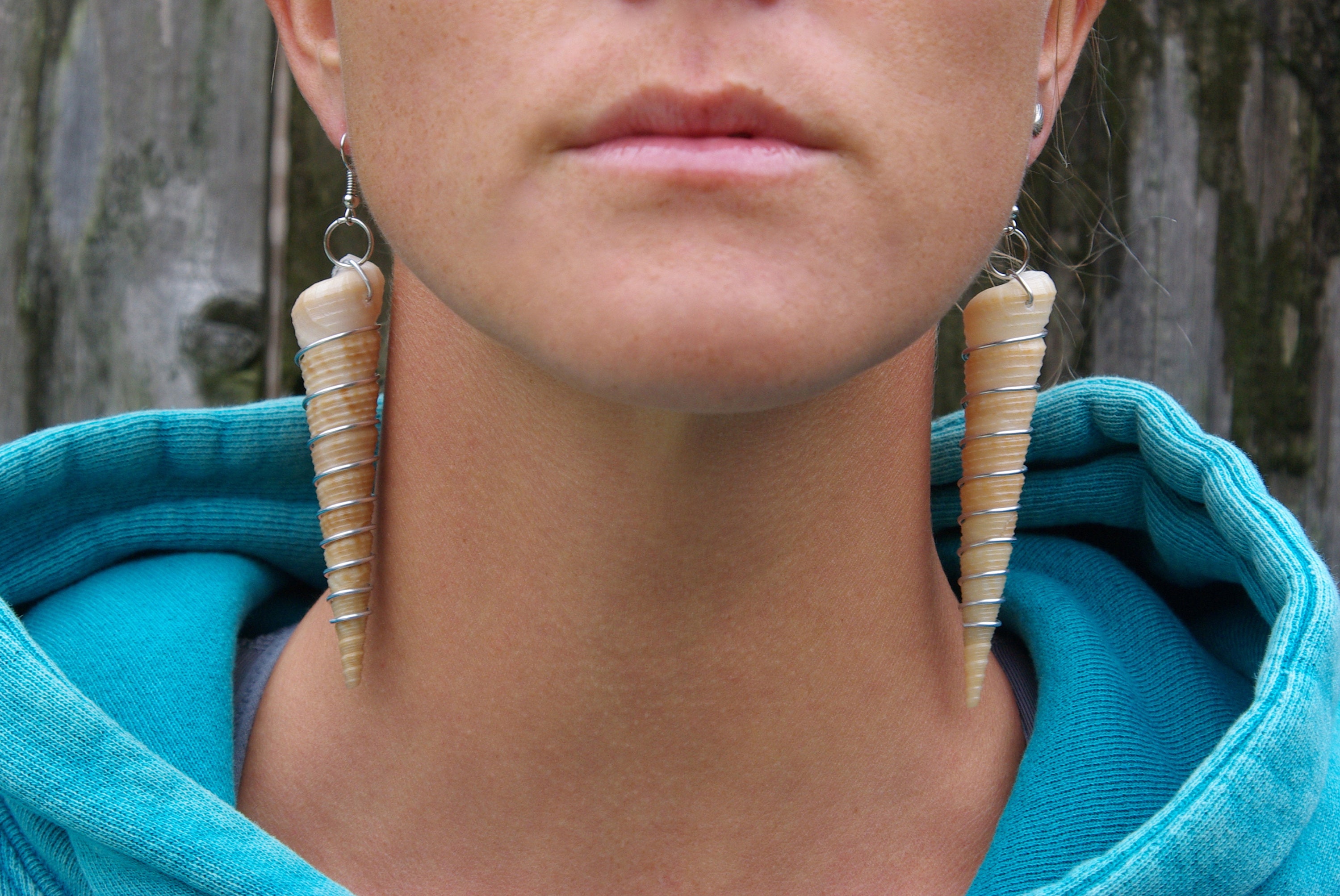 Turret Seashell Wire Wrapped Earrings - Etsy