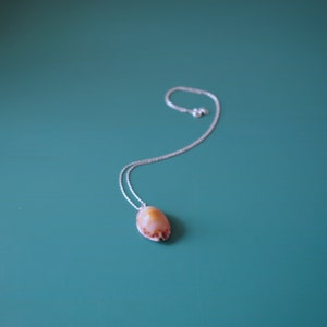 May include: A silver chain necklace with a seashell pendant. The seashell is a light brown color with pink and orange accents.