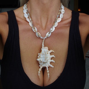 May include: A white shell necklace with a large, white seashell pendant. The necklace is made of oval-shaped shells and has a silver chain.
