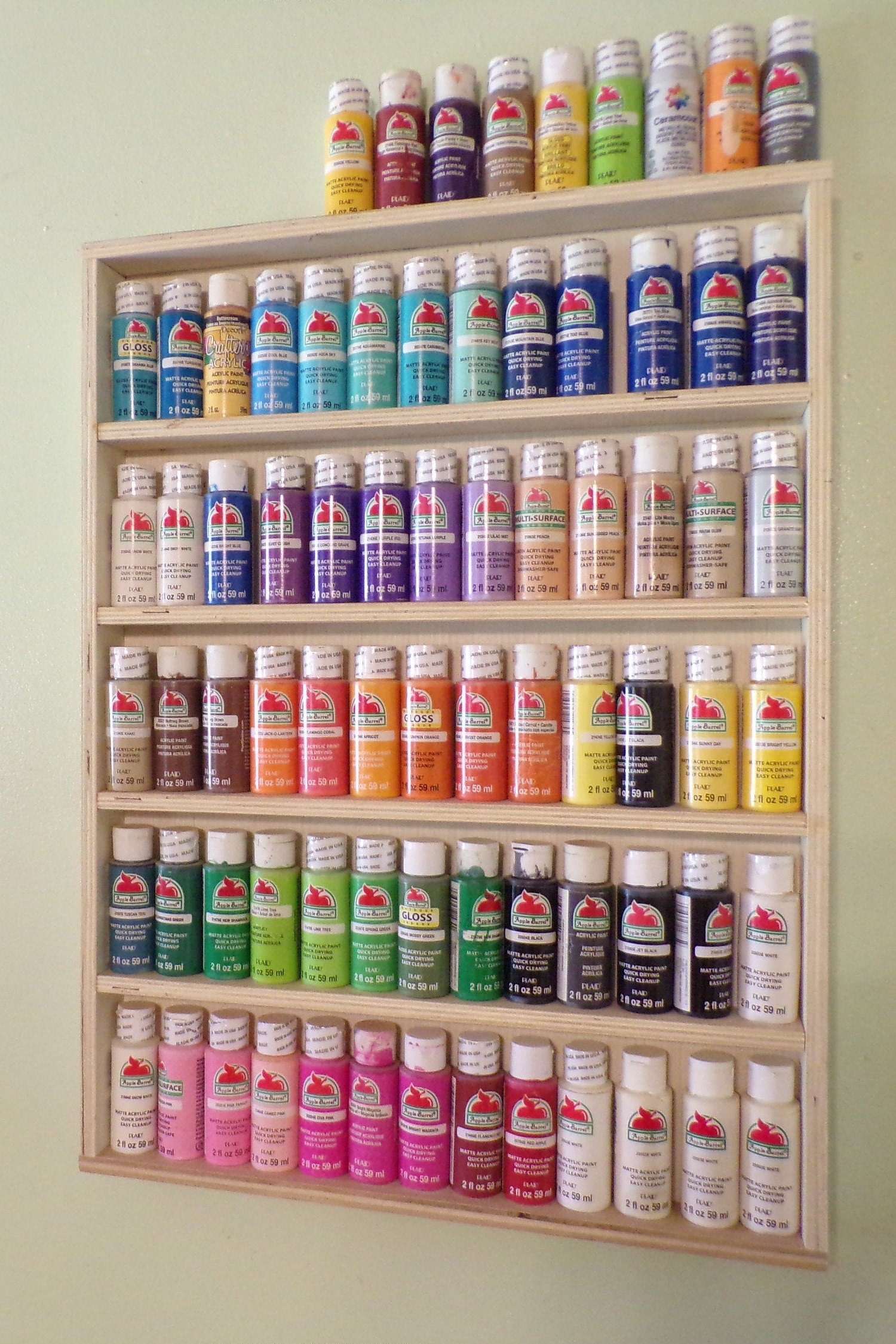 CraftyBook 5-Tiered Paint Organizer Acrylic Shelf with Paintbrush