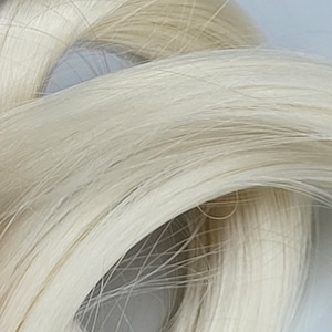 May include: A close-up of a bundle of long, white, silky hair.