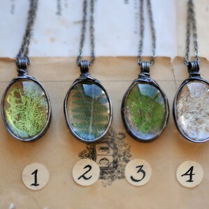 Pressed Flower, Dandelion Seeds Necklace, , Terrarium Necklace, Moss Jewelry, Fern Pendant