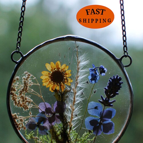 Pressed Flower Frame Red Poppy Flowers Stained Glass Plant Etsy