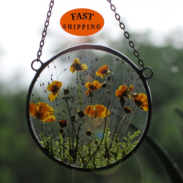 MARIAELA, gift from Poland, Framed flowers, Dried Flower Frame, Pressed  Flowers, Pressed Flower Frame, Pressed Flower Frame, dry flower