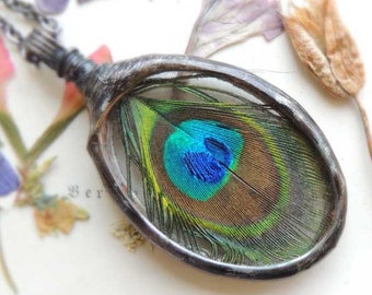 real peacock necklace, bohemian necklace, peacock feather, Peacock necklace, Eye of the Natural Peacock, boho jewelry, terrarium necklace