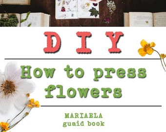 drying flowers, DIY Dried Flowers, How to pressed flower, How to press, tutorial, How to dry flowers workbook, e-book mariaela