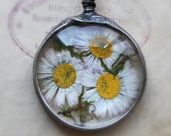 echte Gänseblümchen Halskette, Terrarium Schmuck, Märchen Geschenke, Brautjungfer Geschenke, meine Brautjungfer, Brautjungfer Antrag