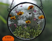 MARIAELA, glass floating frame, pressed flower art, buttercup, yellow flowers, forget-me-nots, glass art frame, Glass Hanging Frame