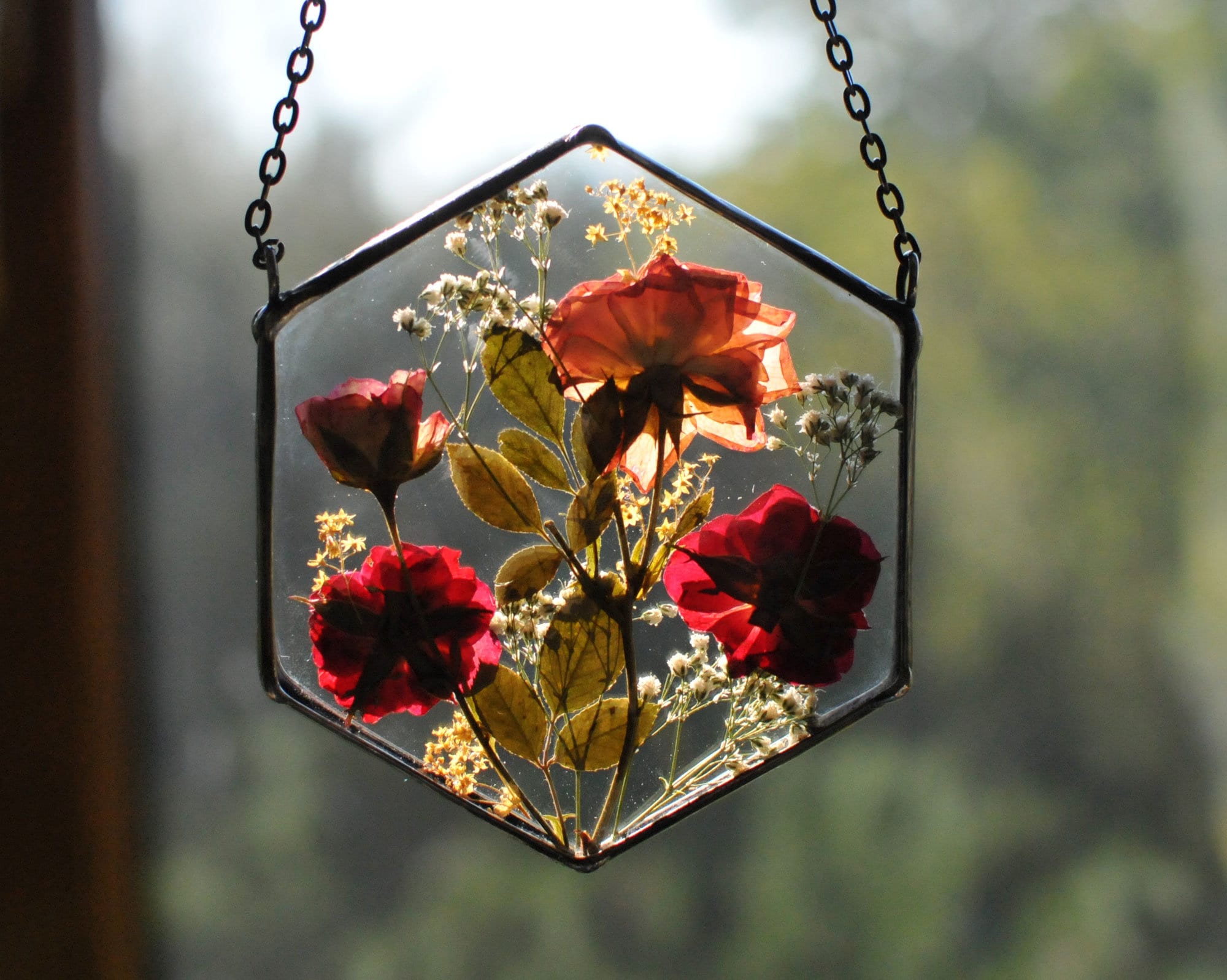 Stained Glass Frame, Pressed Flower Frame, Pressed Plant Frame