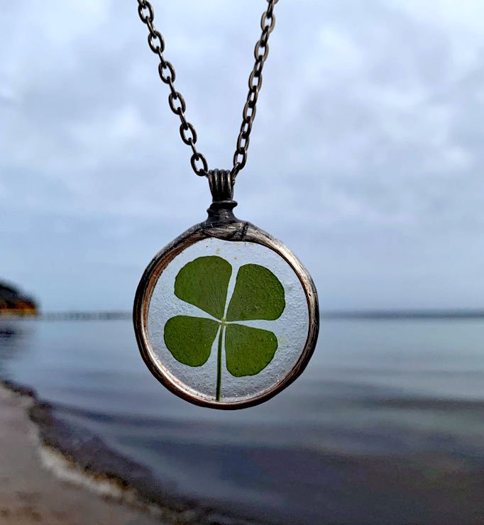 Pressed Flower Real Four Leaf Clover 4 