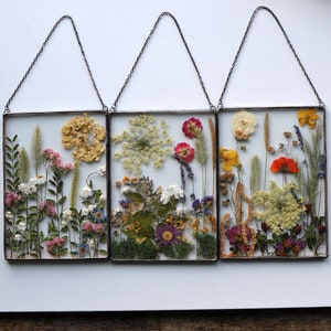 Pressed Botanicals, set of 3 Pressed Flowers Frames, Wall Art Set Of 3 Set Of 3Wall Art Framed, Pressed Flowers Set, Wall Art Framed