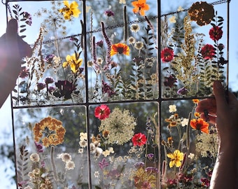 May include: A framed piece of art featuring pressed flowers and leaves in a grid pattern. The flowers are in shades of pink, red, yellow, and white, and the leaves are green. The frame is made of black metal.