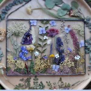 Pressed Flower Frame: Real Botanical Art, Poppy (A4 8.27 x 11.69)