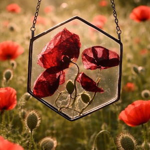 Könnte beinhalten: Ein Glasbild mit getrockneten roten Mohnblumen, an einer Kette aufgehängt. Der sechseckige Rahmen zeigt die zarten Blüten vor dem Hintergrund eines Mohnfeldes. Eine einzigartige Blumendekoration.