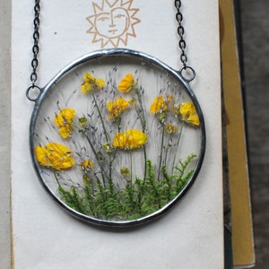 Large Pressed Flower Frame – Botanical Herbarium Wall Art with Real Dried Flowers