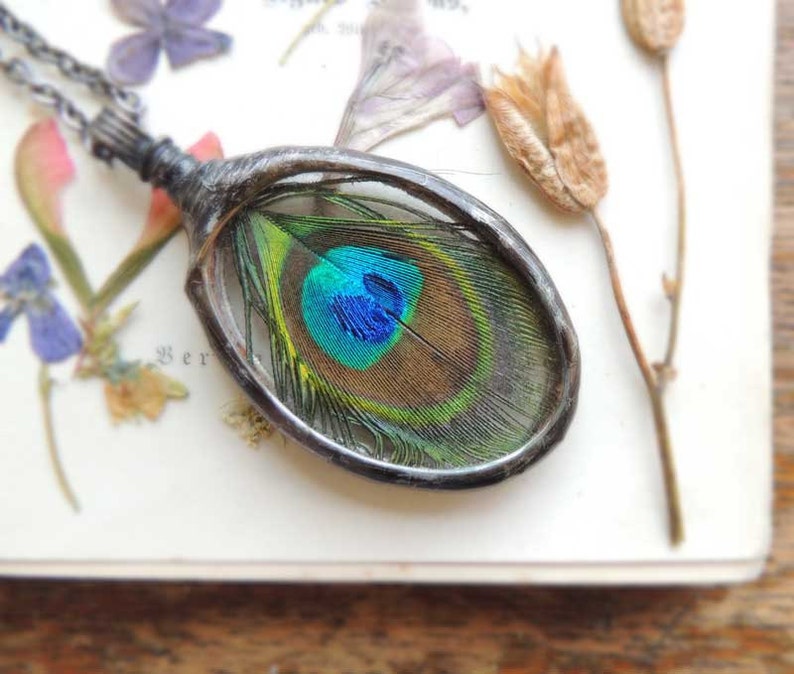 real peacock necklace, bohemian necklace, peacock feather, Peacock necklace, Eye of the Natural Peacock, boho jewelry, terrarium necklace image 1