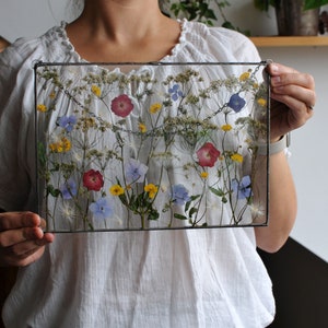Pressed Flowers, Large Pressed Flower, Floral Art, Pressed Flower Frame, Dried Flower, Pressed Blossoms, Pressed flower Art