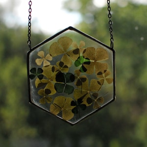 Four Leaf Clover, Lucky Clover Art, Pressed Clover, Glass Wall Decor, Stained Glass Gift, Clover Suncatcher, Botanical Frame Nature Wall Art