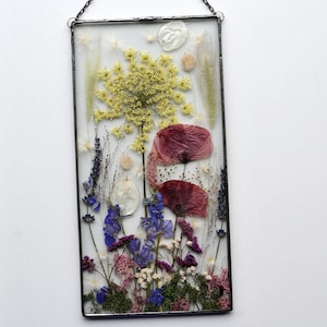 Pressed Flower, Stained Glass, Glass Picture, Real Poppy, Large Pressed, Pressed Flowers, MARIAELA, botanical lovers