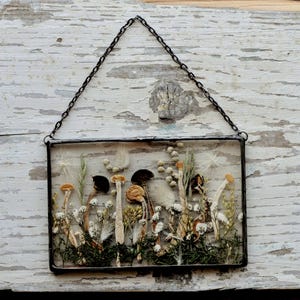 Real Mushroom Decor, Glass and Metal Wall Art, Woodland Decor, Real Mini Mushrooms, Terrarium Art, Mushroom Lover Gifts, Woodland gift