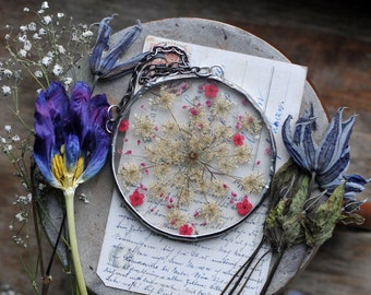 Pressed Flower Frame: Queen Annes Lace, Dried Flower Art