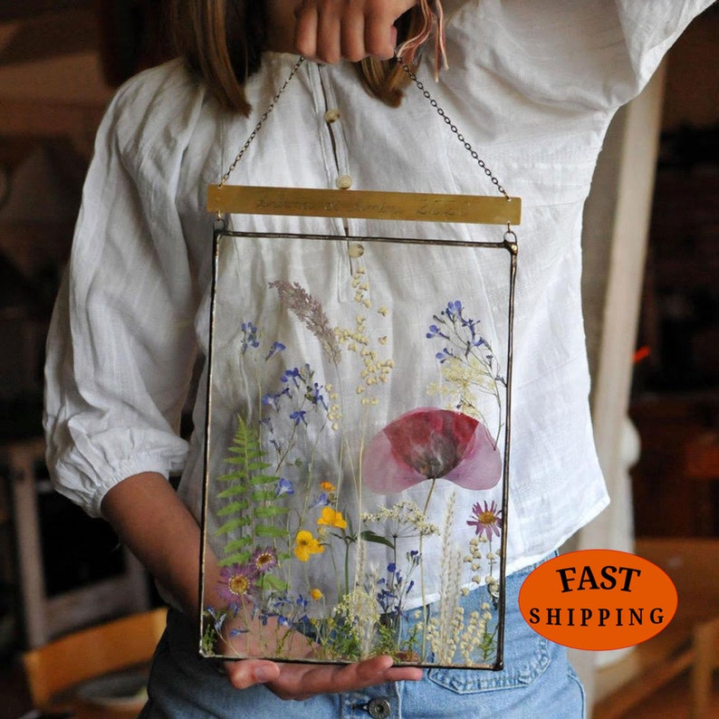 Pressed Flowers Large Pressed Flower Preserved Flower Art Etsy