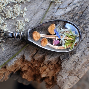 Mushroom Jewelry, Mycology Necklace, Wild Mushrooms, Bestseller, Forest Pendant, Miniature Mushrooms, Mushroom Foraging, Fungi Necklace