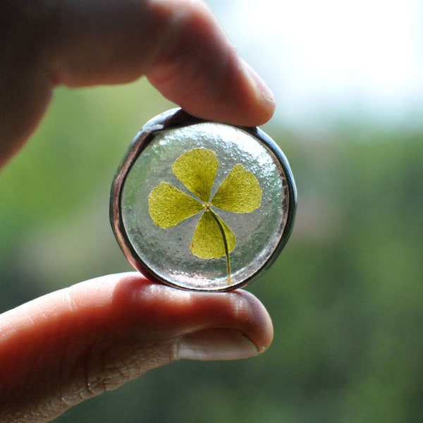 Glücksbringer, Geldmünze mit Kleeblatt, echtes vierblättriges Kleeblatt, Glücksbringer, Kleeblattanhänger, gepresste Blume, Glücksgeschenk