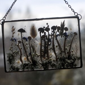 K&ouml;nnte beinhalten: Ein gerahmtes Glaskunstwerk mit getrockneten Pilzen und Blumen, die darin gepresst sind. Das St&uuml;ck wird an einer Kette aufgeh&auml;ngt und zeigt eine Vielzahl getrockneter Pflanzen, darunter Pilze, Gr&auml;ser und Blumen.