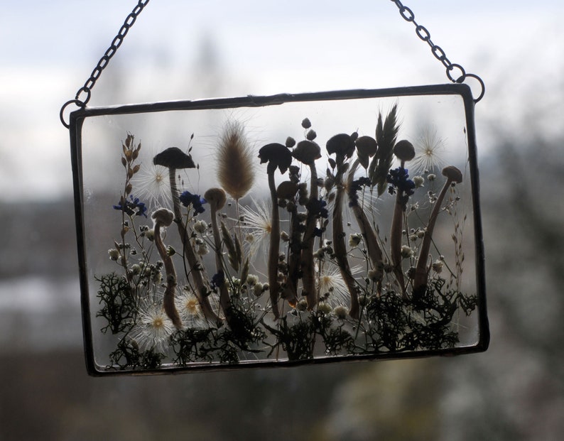 K&ouml;nnte beinhalten: Ein gerahmtes Glaskunstwerk mit getrockneten Pilzen und Blumen, die darin gepresst sind. Das St&uuml;ck wird an einer Kette aufgeh&auml;ngt und zeigt eine Vielzahl getrockneter Pflanzen, darunter Pilze, Gr&auml;ser und Blumen.