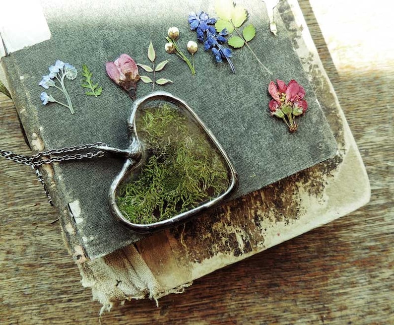 Real Moss Necklace Terrarium Necklace Dried Mossreal Moss Etsy