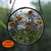 see more listings in the Home decor terrarium section