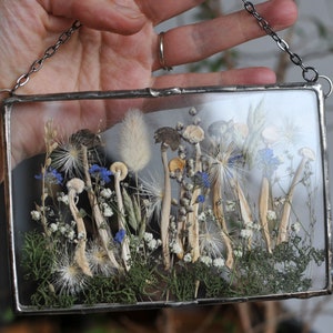 K&ouml;nnte beinhalten: Ein gerahmtes gepresstes Blumenkunstwerk mit einer Auswahl an getrockneten Blumen und Pilzen, darunter wei&szlig;e, braune und blaue Blumen sowie beige Pilze. Der Rahmen ist aus silbernem Metall gefertigt und hat eine Kette zum Aufh&auml;ngen.