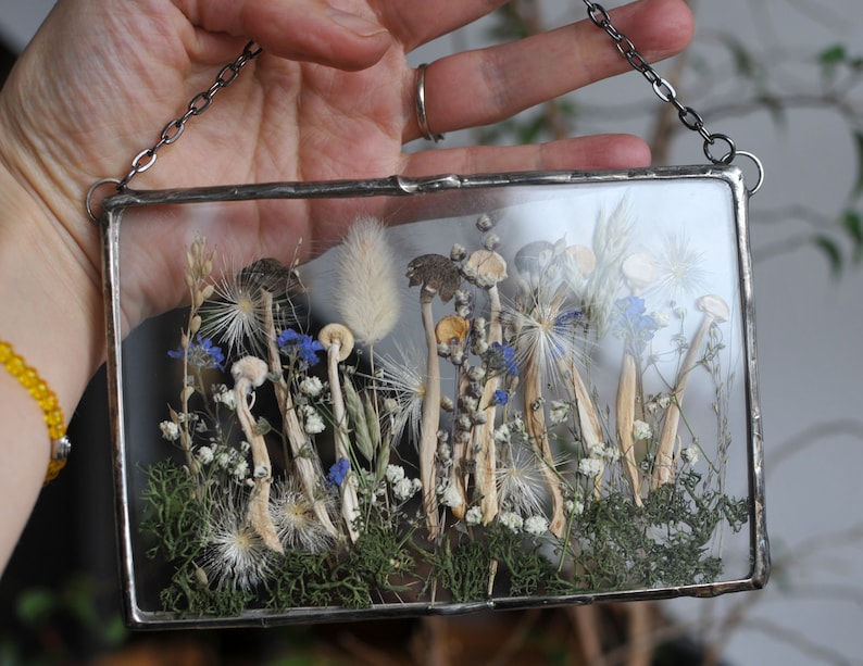 K&ouml;nnte beinhalten: Ein gerahmtes gepresstes Blumenkunstwerk mit einer Auswahl an getrockneten Blumen und Pilzen, darunter wei&szlig;e, braune und blaue Blumen sowie beige Pilze. Der Rahmen ist aus silbernem Metall gefertigt und hat eine Kette zum Aufh&auml;ngen.