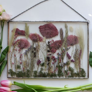 Red Poppies Pressed Flower Art, Gift for Veteran or Armed Forces, Pressed Flower, Red Poppies Pressed Flower Art, Real Floral Home Decor image 3