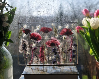 Pressed Flower Stained Glass Wall Art A4 Horizontal Red Poppy Botanical Frame