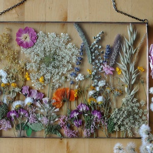 Pressed Flowers, Large Pressed Flower, 1 st anniversary, 1 year anniversary, dried flower bouquet, preserve bouquets, decoration image 3