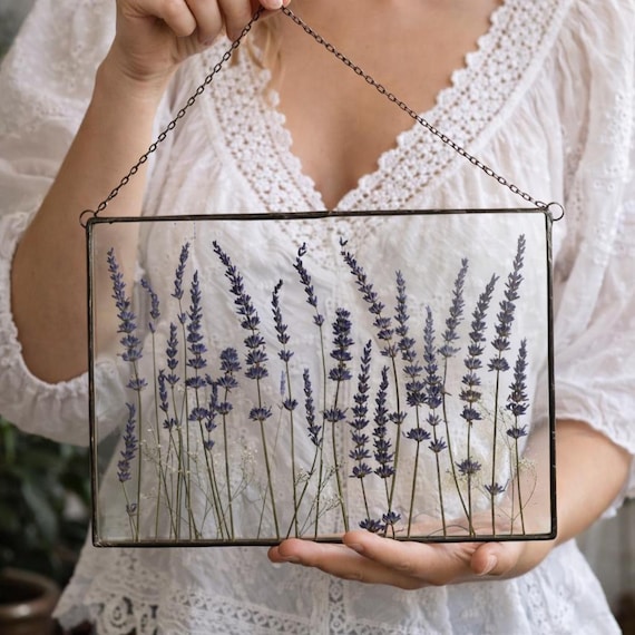 Pressed Lavender Wall Art A4 – Real Lavender in Glass – Botanical Wall Decor, Housewarming Gift