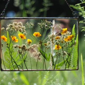Framed Flowers, Dried Flower Frame, Stained Glass, Floating, Wall Hanging, Window Hangings, Pressed flower Frame, Housewarming Gift
