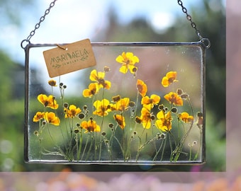 Pressed Flower Frame: Dried Yellow Flowers, Floating Glass Wall Hanging