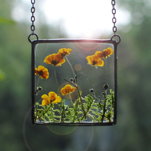 Buttercup panel, Pressed Flowers, Pressed Flower Frame, Stained Glass Frame, Framed Dried Flowers