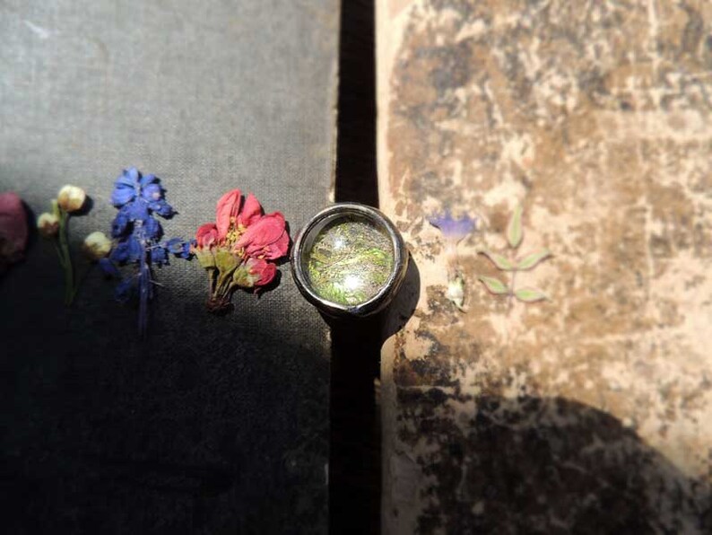 fairytale gifts Mini terrarium jewelry natural ring Make a wish gift for daughter from dad chunky ring Moss ring mom life present