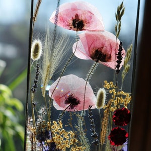 poppy, Pressed Flowers, Large Pressed, 1 st anniversary, 1 year anniversary, dried flower bouquet, preserve bouquets, decoration mariage