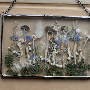 K&ouml;nnte beinhalten: Ein gerahmtes gepresstes Blumenkunstwerk mit einer Auswahl getrockneter Blumen und Pilze, darunter wei&szlig;e Pilze, blaue Vergissmeinnicht und wei&szlig;e, flauschige Samenkapseln. Der Rahmen ist aus Metall und hat ein rustikales Aussehen.
