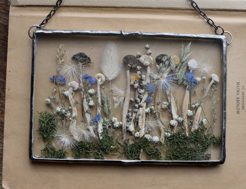 K&ouml;nnte beinhalten: Ein gerahmtes gepresstes Blumenkunstwerk mit einer Auswahl getrockneter Blumen und Pilze, darunter wei&szlig;e Pilze, blaue Vergissmeinnicht und wei&szlig;e, flauschige Samenkapseln. Der Rahmen ist aus Metall und hat ein rustikales Aussehen.